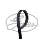 Gates 4PK1590 Kanallı Kayış