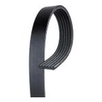 Gates 5PK1005 Kanallı Kayış