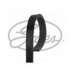 Gates 5PK1030 Kanallı Kayış
