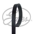Gates 5PK1148 Kanallı Kayış