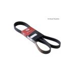 Gates 5Pk1550 V Kayısı Sx4 07-15 2.0 Vvt 16V Uyumlu