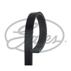 Gates 5PK1750 Kanallı Kayış
