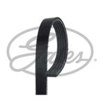 Gates 5PK1765 Kanallı Kayış