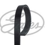 Gates 5PK848 Micro-V Horizon Kayış