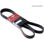 Gates 6PK1985 Kanallı Kayış