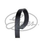 Gates 6PK780SF Kanallı Kayış
