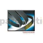 Gates 7PK1165 Kanallı Kayış