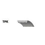 Gates 7PK1275T Kanallı Kayış