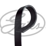 Gates 7PK1910 Kanallı Kayış