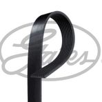 Gates 8PK1370 Kanallı Kayış