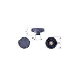 Gates Radyator Yedek Su Depo Kapagı Bmw E81 E82 E87 E88 F20 F21