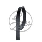 Gates Rdm2198k6 Roadmax V Kayıs Kanallı ( Ford Mondeo 2.0Duratec 07-14)(Mercedes C Sprınter)