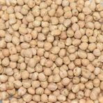 Gaziantep Pazarı 5 kg 8 MM Nohut