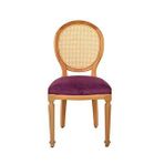 Gazzini Furniture Madalyon Hazeranlı Ahşap Sandalye Çok Renkli