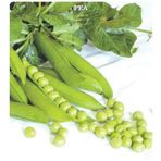 Geleneksel Bezelye Tohumu (25 gram)