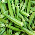 Geleneksel Sultani Bamya Tohumu (25 Gr)