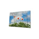 Gelincik Çiçeği Cam Tablo 4mm Dayanıklı Temperli Cam Poppy Flower Glass Wall Art