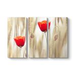 Gelincik Çiçeği Tablosu 111 x 75-3 Parçalı