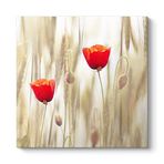 Gelincik Çiçeği Tablosu 30 x 30