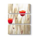 Gelincik Çiçeği Tablosu 70 x 96-3 Parçalı