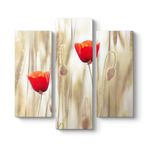 Gelincik Çiçeği Tablosu 96 x 90-3 Parçalı