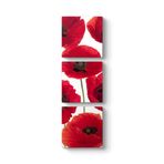 Gelincik Çiçeği Vektör Tablosu 40 x 126-3 Parçalı