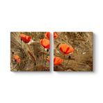 Gelincik Esintileri Tablosu 103 x 50-2 Parçalı