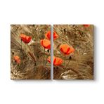 Gelincik Esintileri Tablosu 103 x 70-2 Parçalı