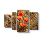 Gelincik Esintileri Tablosu 119 x 80-4 Parçalı