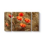 Gelincik Esintileri Tablosu 126 x 70-3 Parçalı
