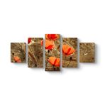 Gelincik Esintileri Tablosu 127 x 56-5 Parçalı