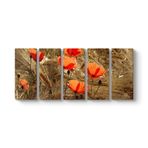 Gelincik Esintileri Tablosu 162 x 70-5 Parçalı
