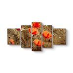 Gelincik Esintileri Tablosu 182 x 90-5 Parçalı