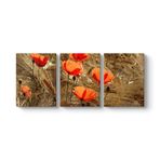 Gelincik Esintileri Tablosu 96 x 40-3 Parçalı