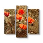 Gelincik Esintileri Tablosu 96 x 90-3 Parçalı