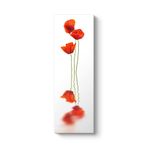 Gelincik Tablosu 40 x 120