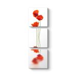 Gelincik Tablosu 40 x 126-3 Parçalı