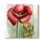 Gelincik Tasarım Tablosu 70 x 70