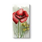 Gelincik Tasarım Tablosu 80 x 160