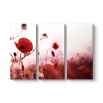 Gelincik Yalnızlık Tablosu 111 x 75-3 Parçalı