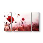 Gelincik Yalnızlık Tablosu 126 x 70-3 Parçalı