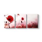 Gelincik Yalnızlık Tablosu 156 x 70-3 Parçalı