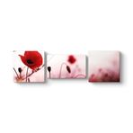 Gelincik Yalnızlık Tablosu 161 x 50-3 Parçalı