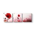 Gelincik Yalnızlık Tablosu 96 x 30-3 Parçalı