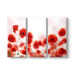 Gelincikler Tablosu 111 x 75-3 Parçalı
