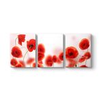 Gelincikler Tablosu 156 x 70-3 Parçalı