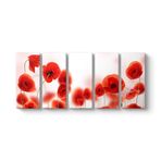 Gelincikler Tablosu 162 x 70-5 Parçalı