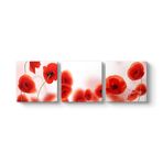 Gelincikler Tablosu 186 x 60-3 Parçalı
