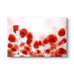 Gelincikler Tablosu 75 x 50