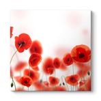Gelincikler Tablosu 80 x 80